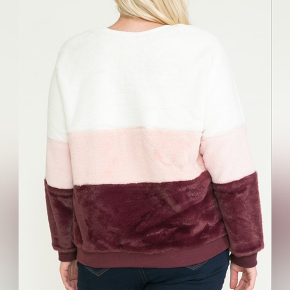 Neapolitan Teddy Sweatshirt - Picture 3 of 5